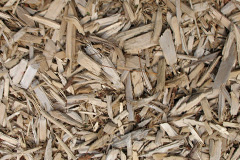 biomass boilers Skippool